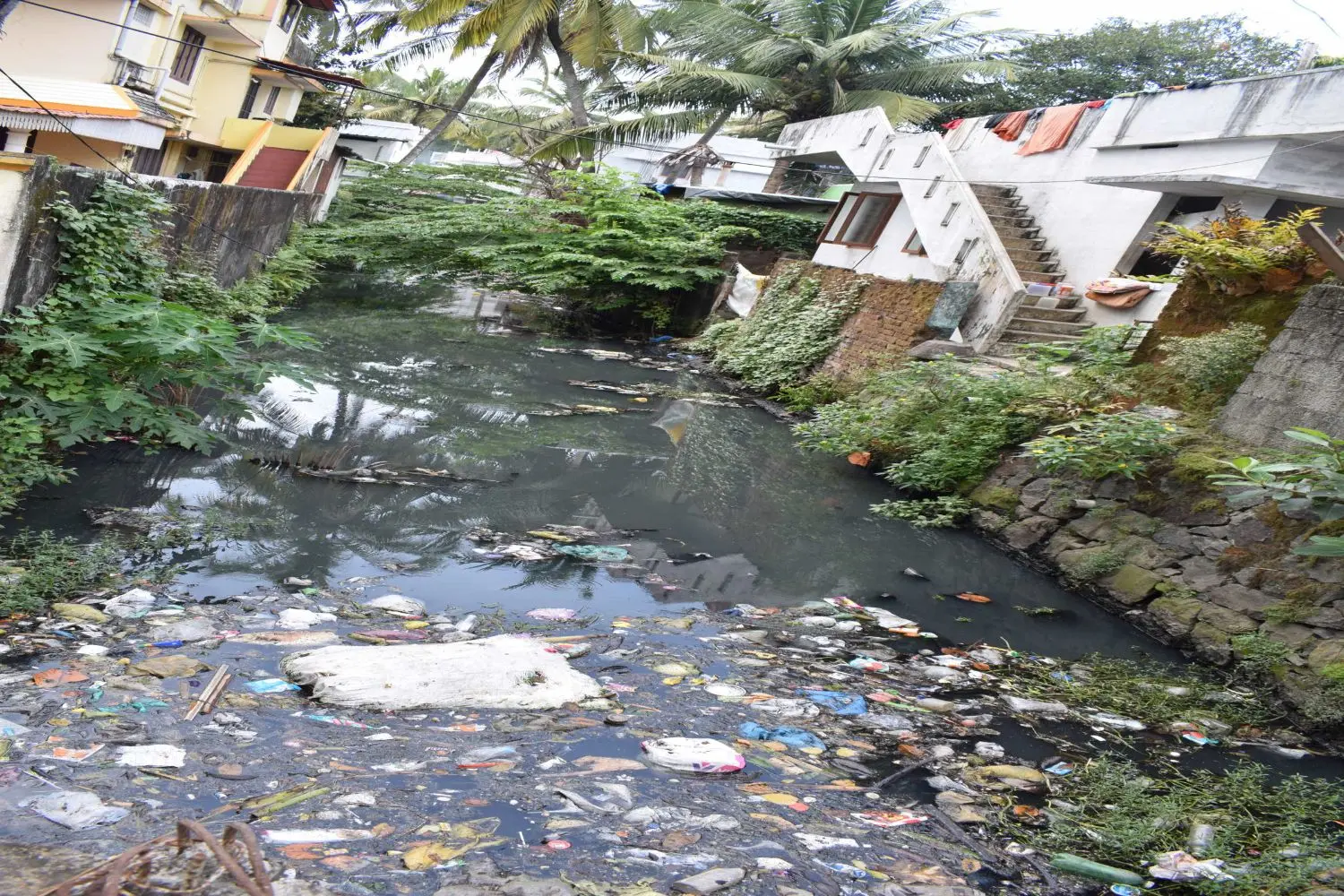 Kochi Canal page image 1