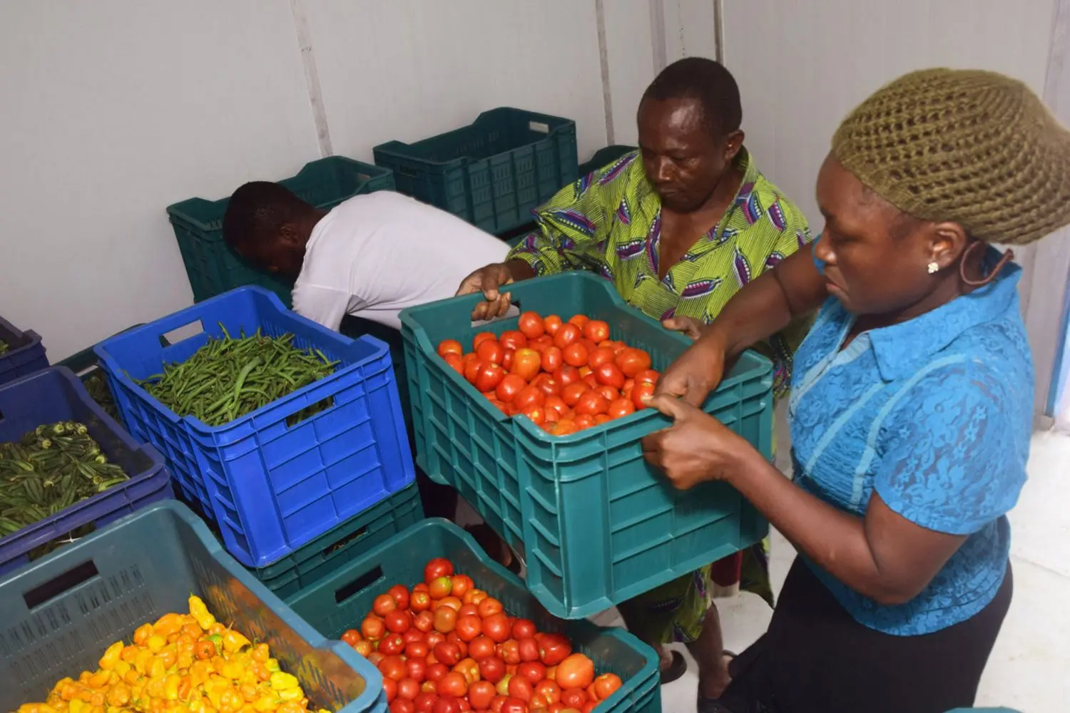 A cool solution to food spoilage 1