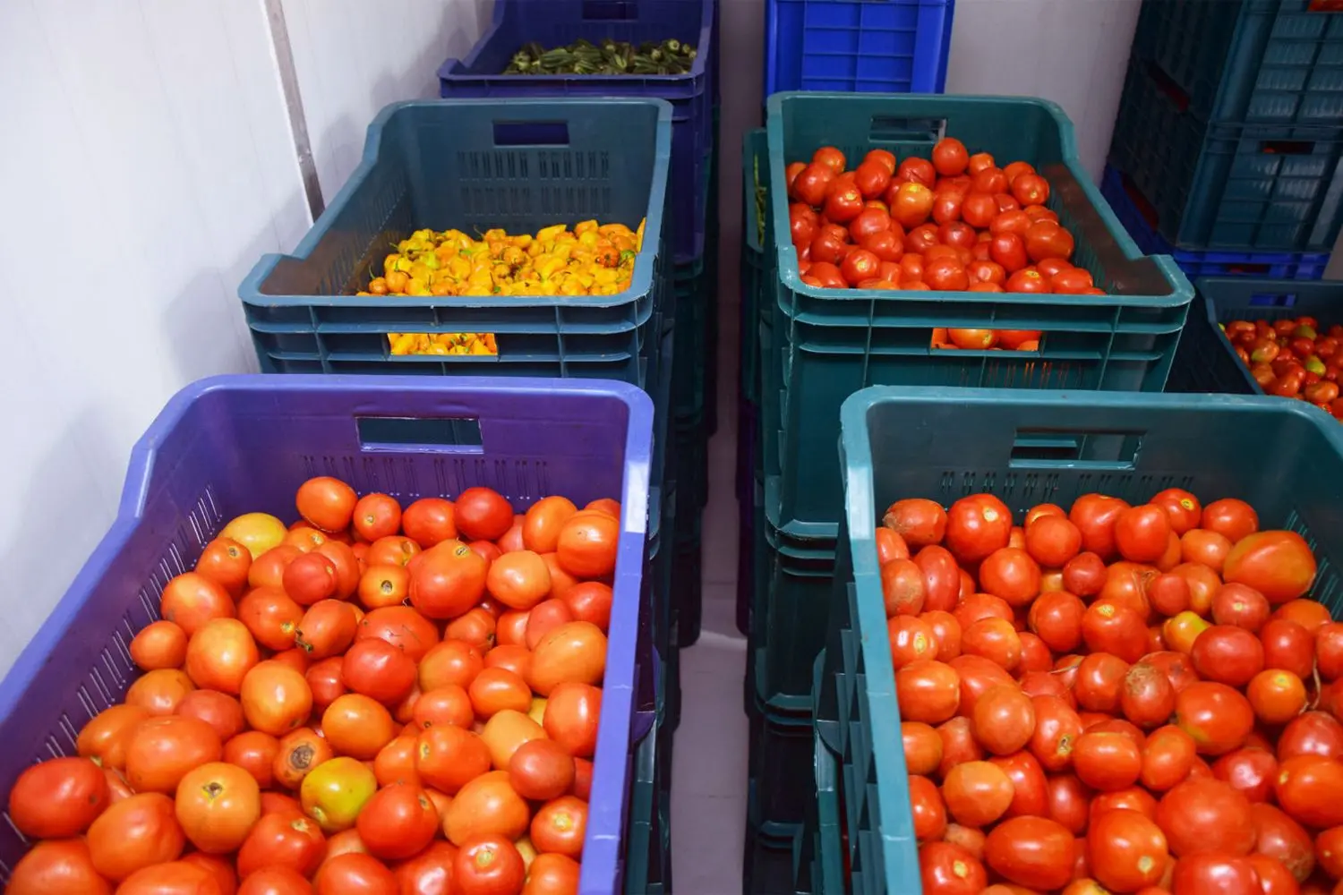 A cool solution to food spoilage 2