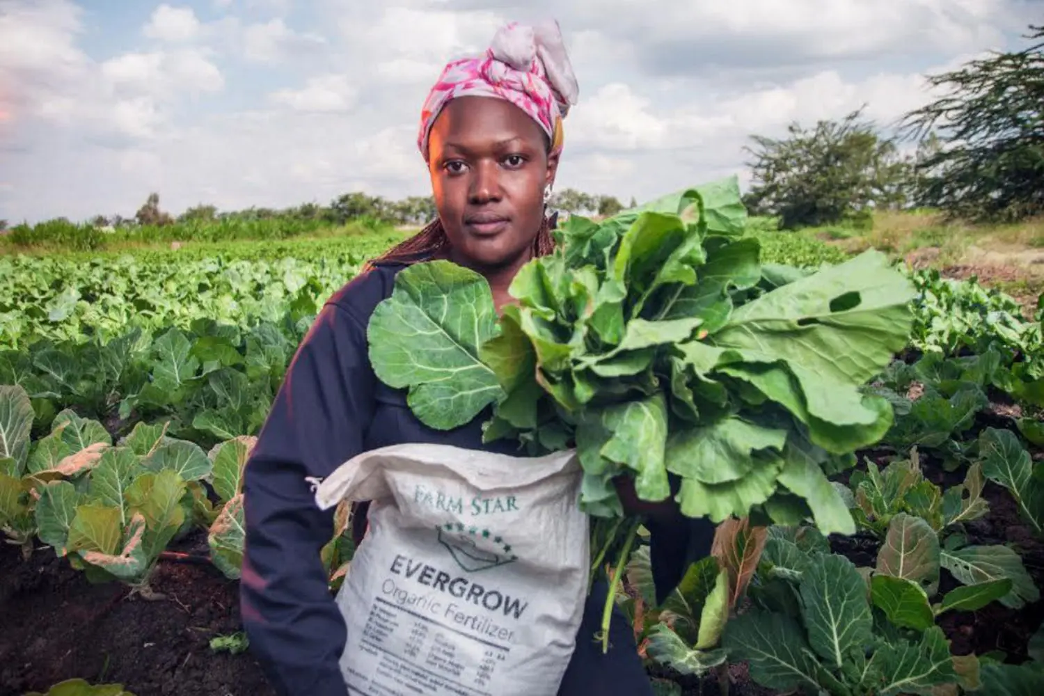 Affordable sanitation 1