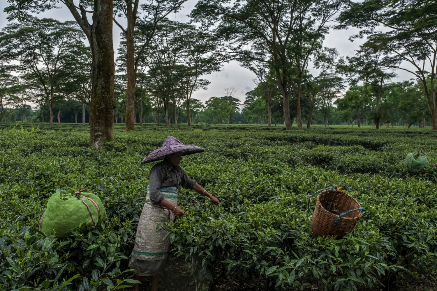 better nutrition for better health 2