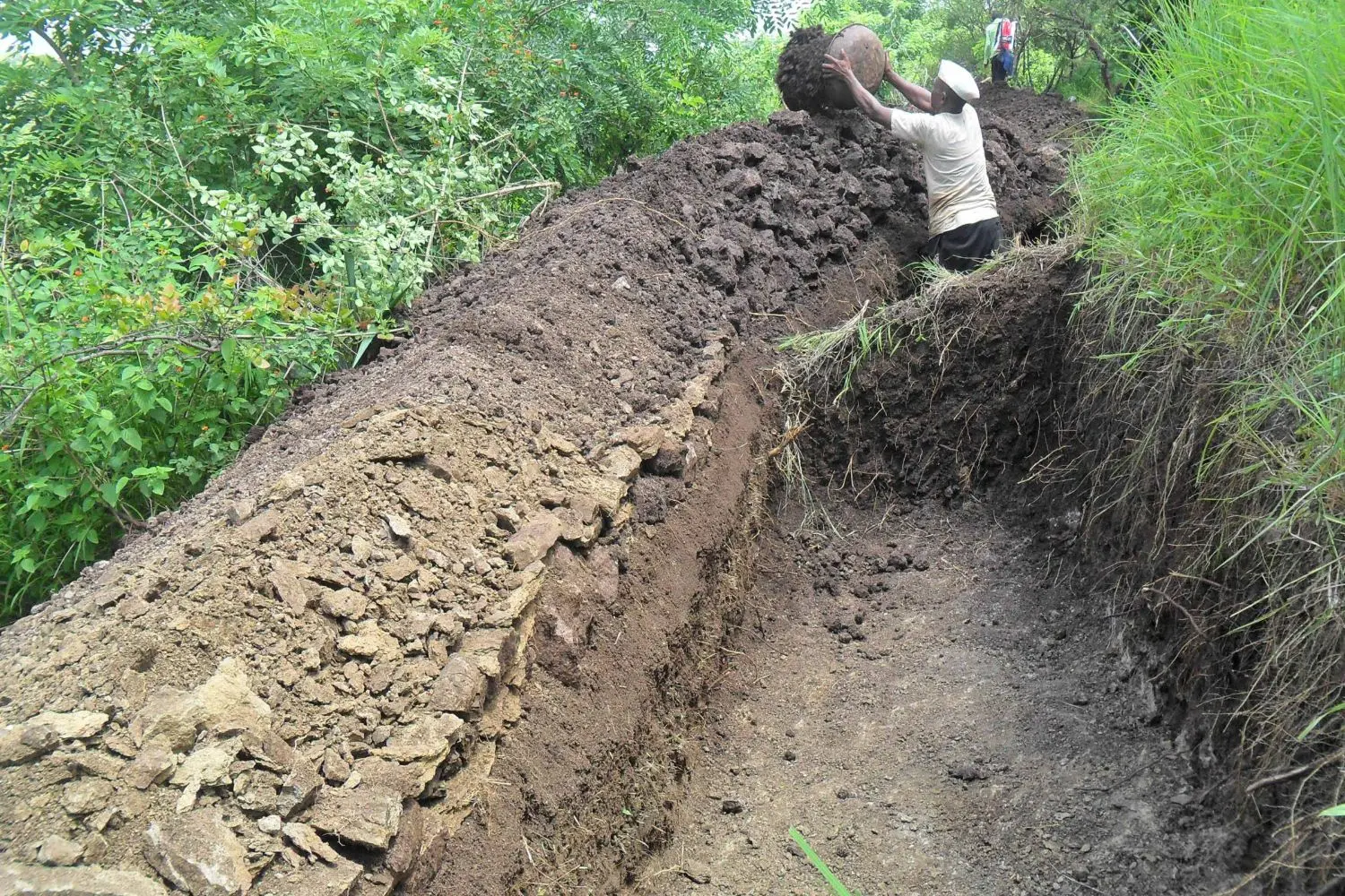 Building resilience to climate change 2