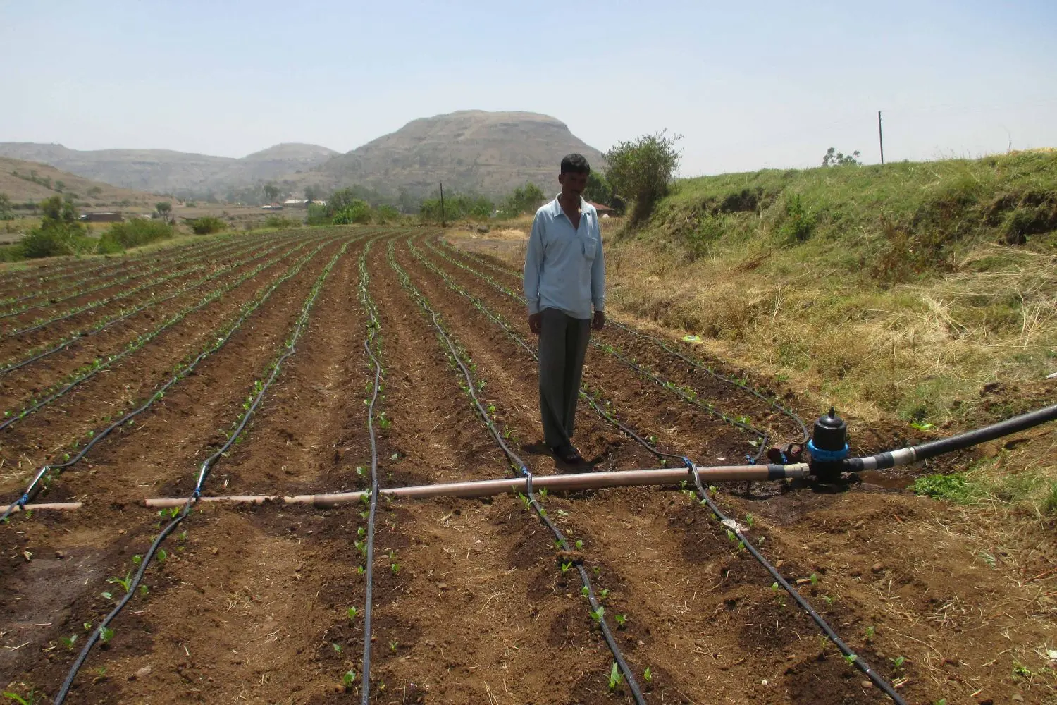 Building resilience to climate change 4