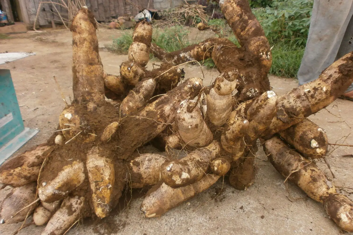 From subsistence to profit 1