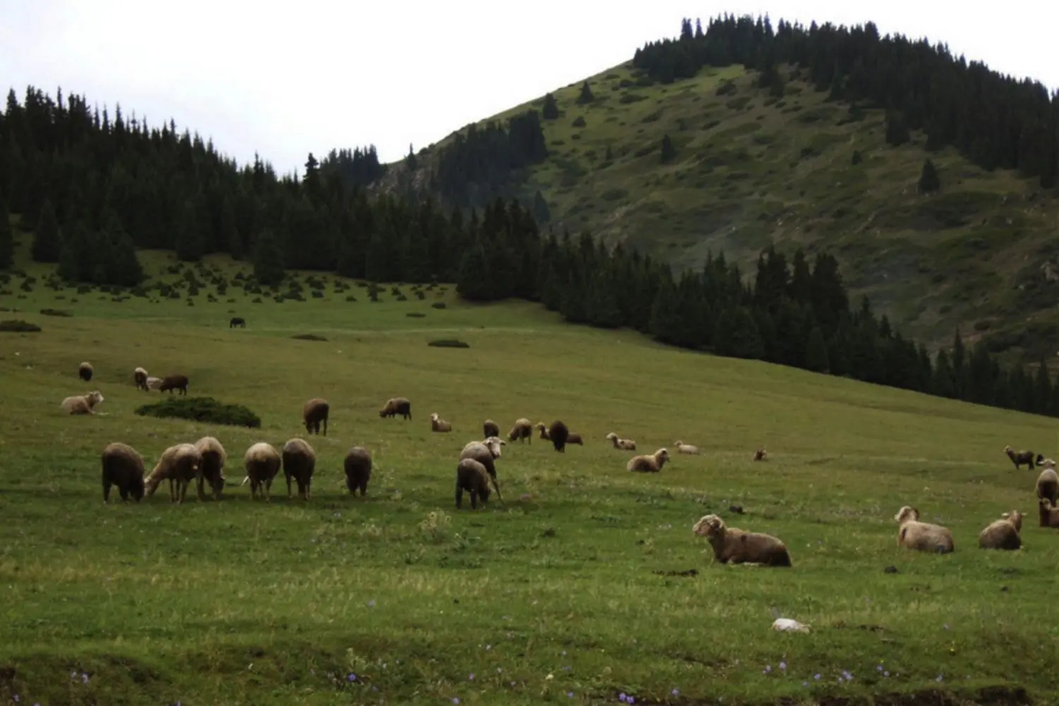 Integrating economic 1