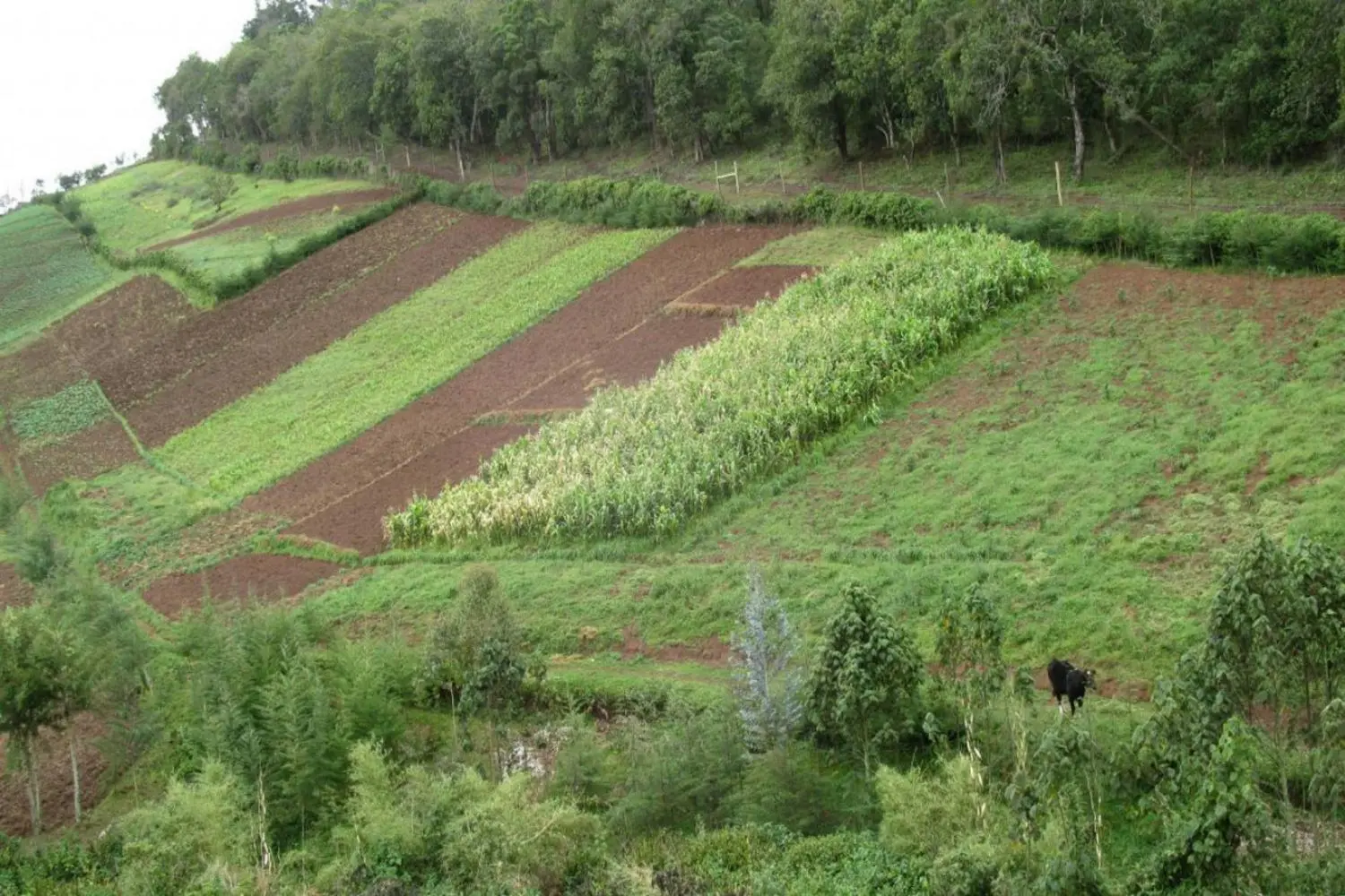 Loans for good water 3