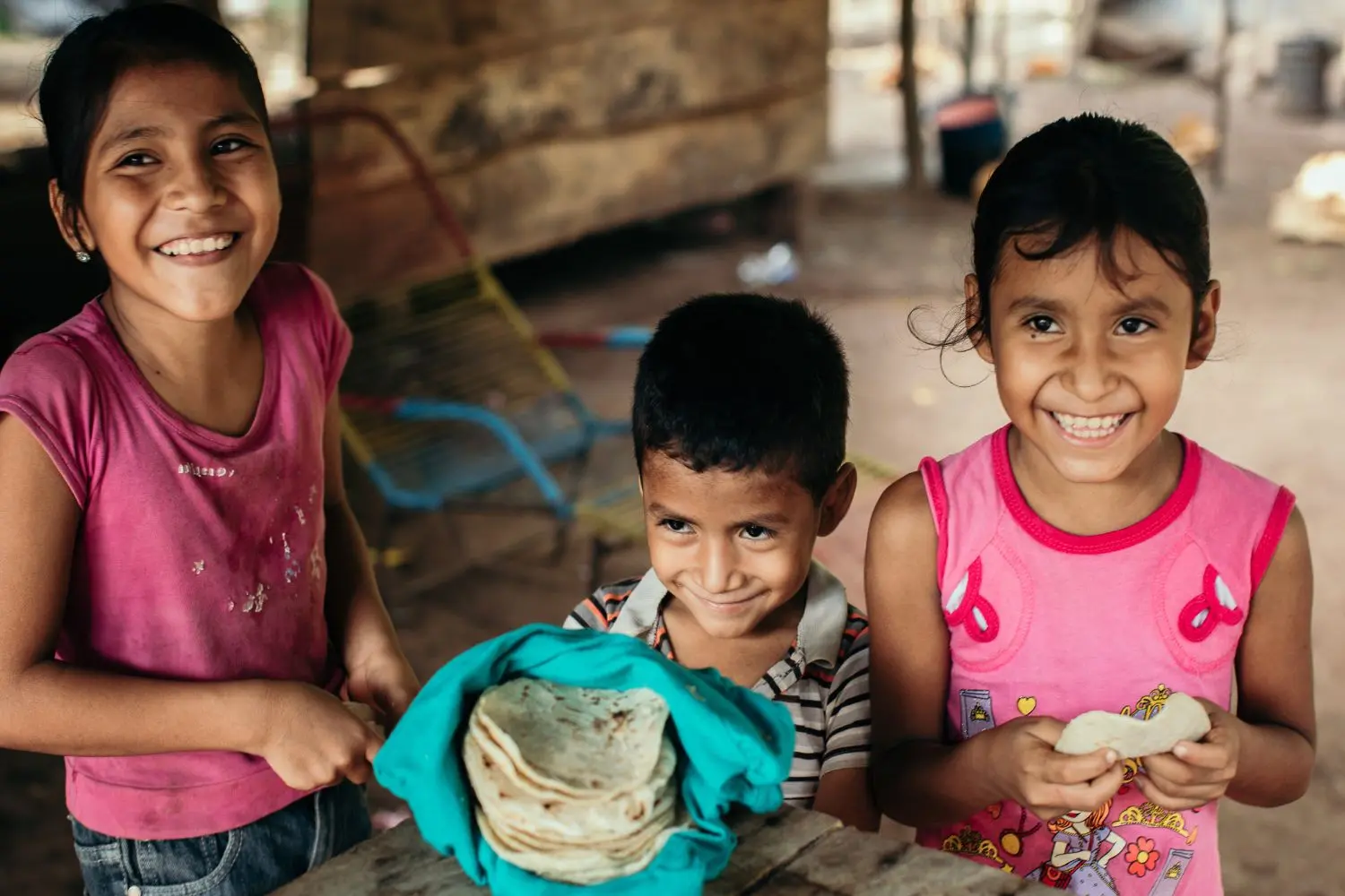 making maize more nutritious 2