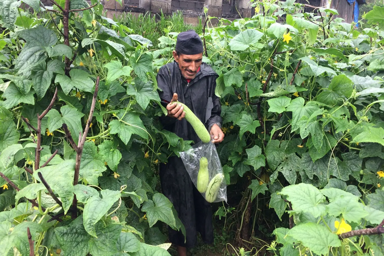 Making water protection pay 4