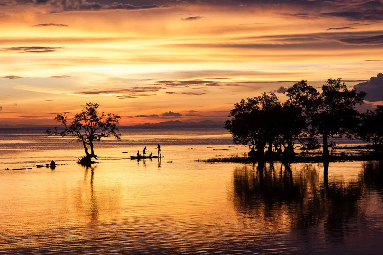 mangroves pay their way 1