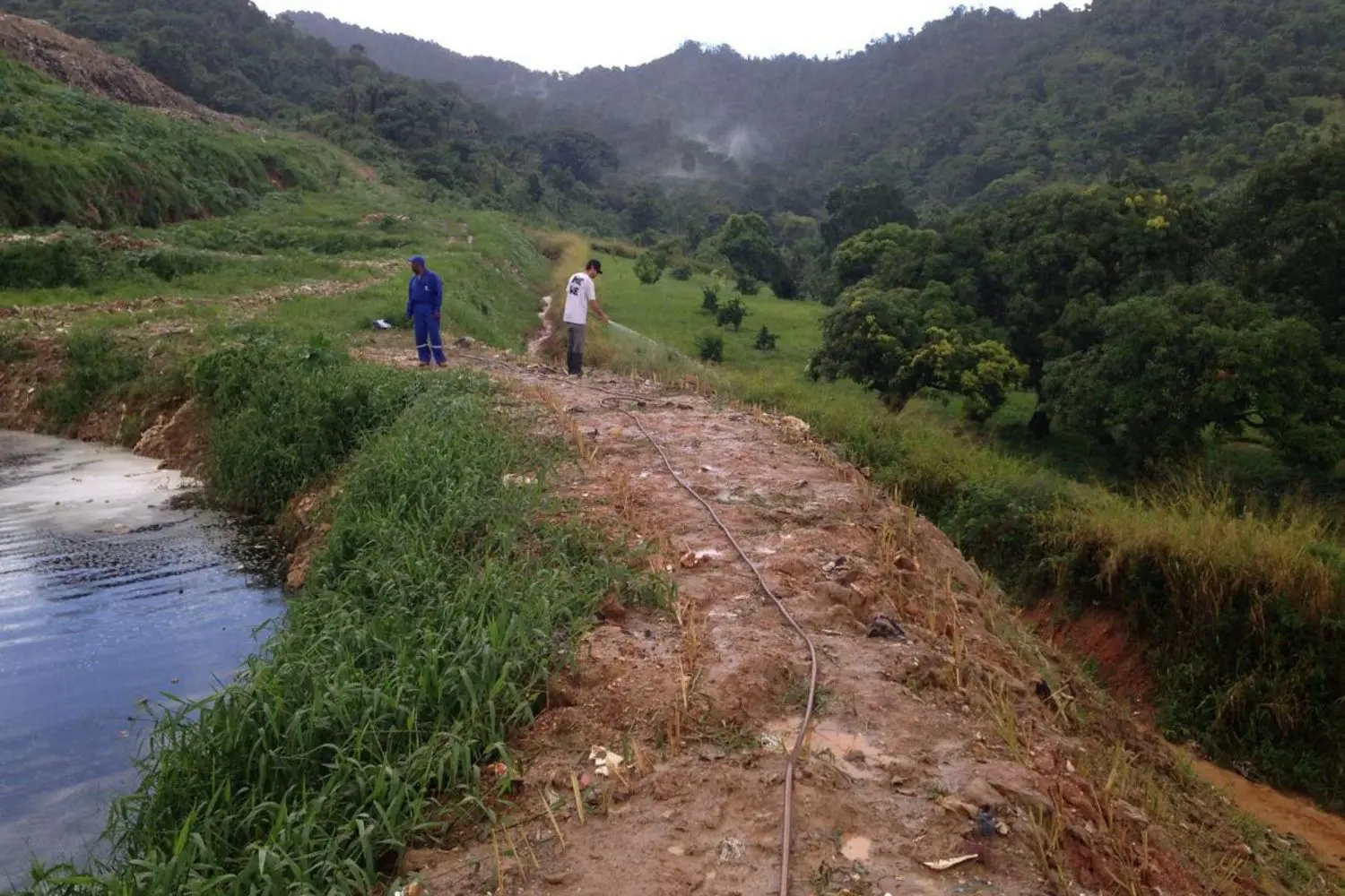 Roots of sustainability 2