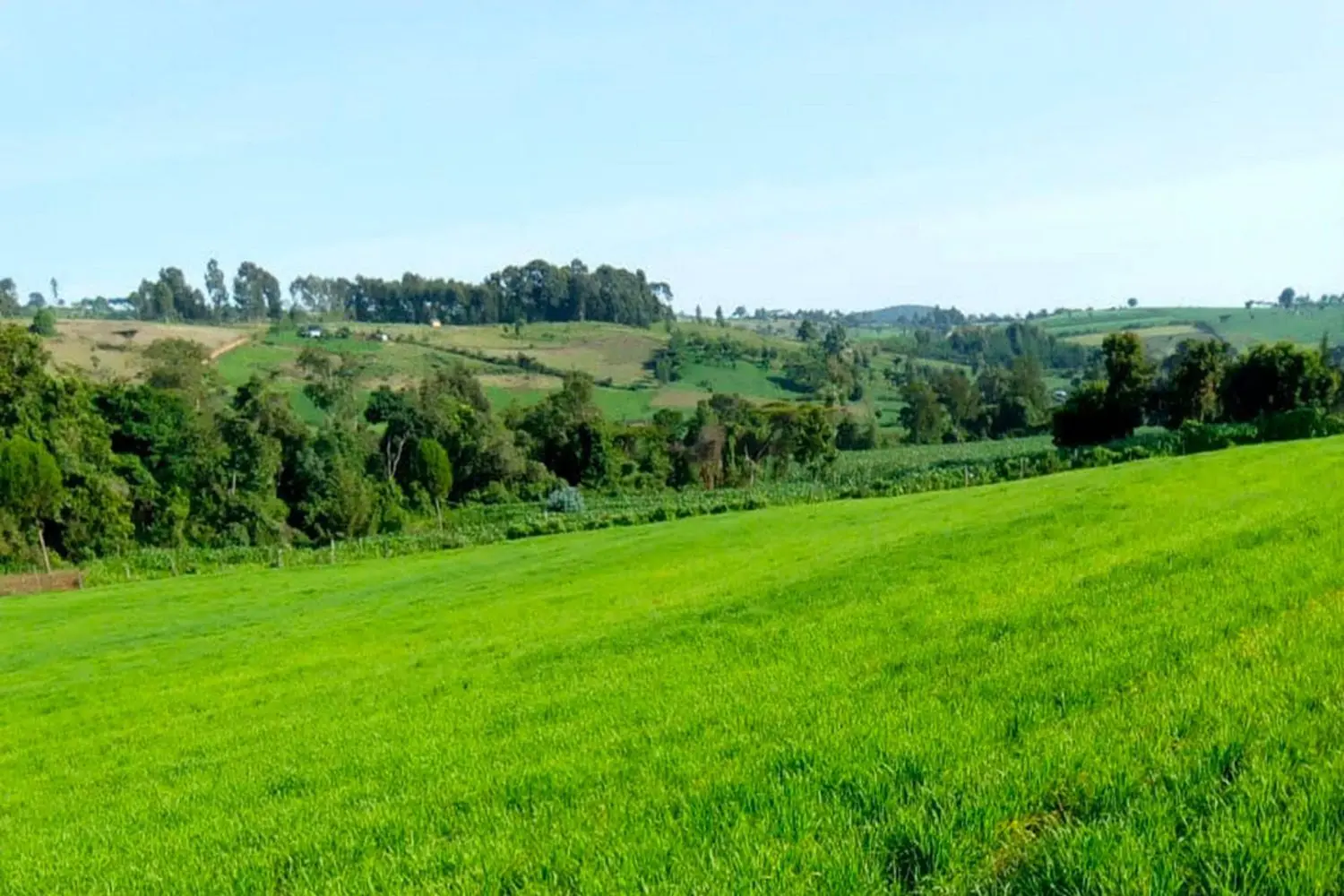 satellite earth observations for food security 1