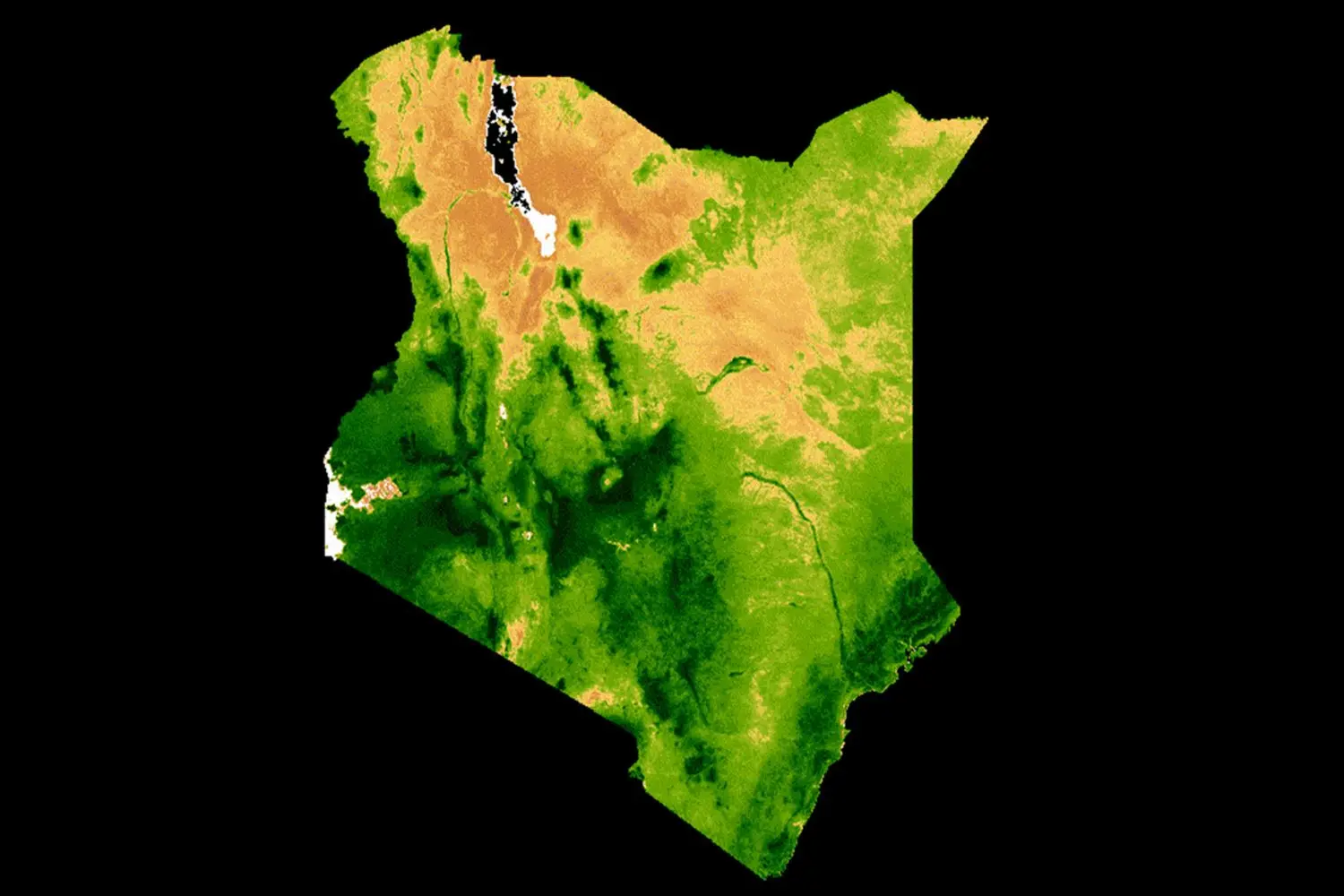satellite earth observations for food security 2