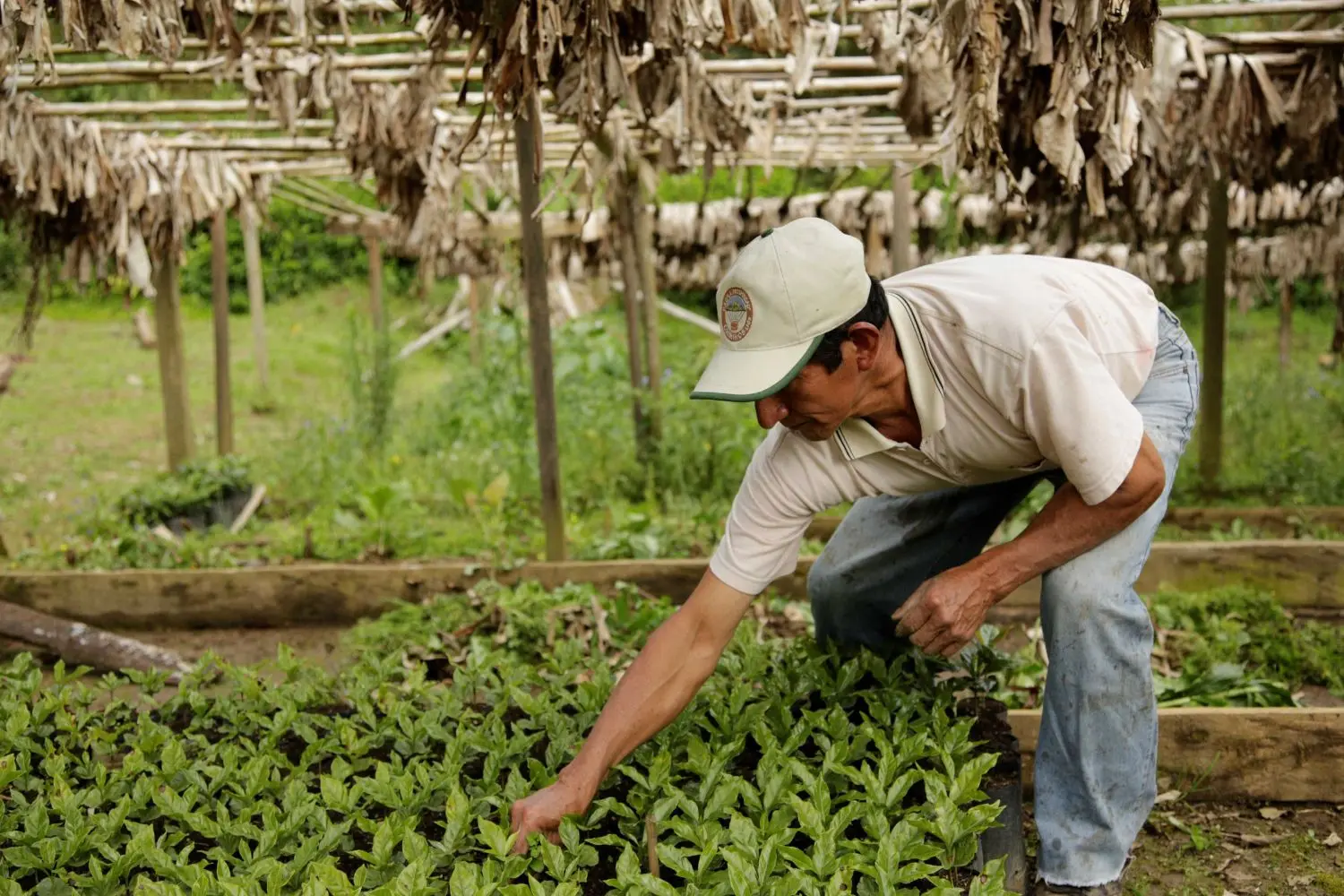 Supporting smart agriculture 1