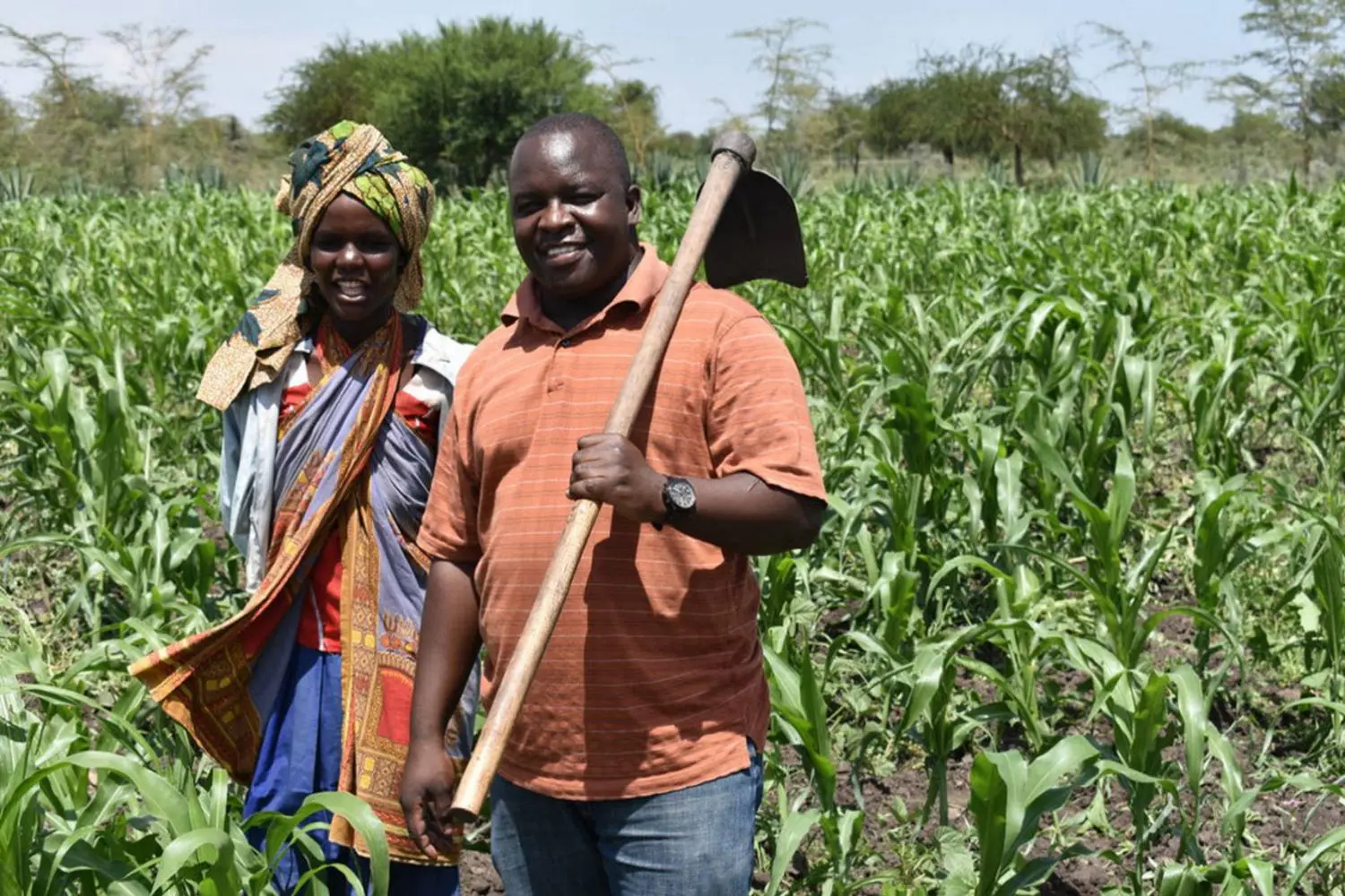 testing and scaling microinsurance schemes 3