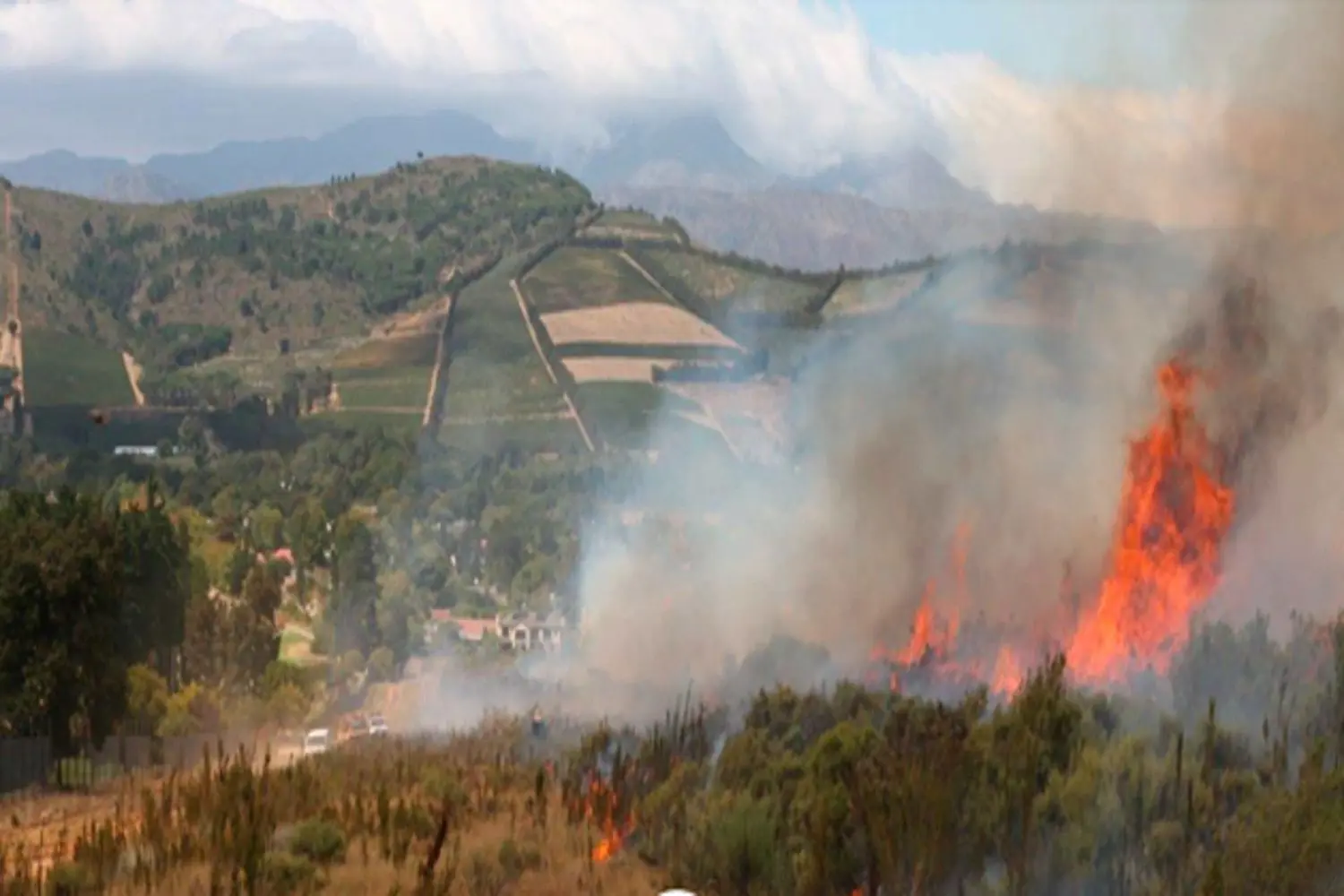 wildfire south africa landworks