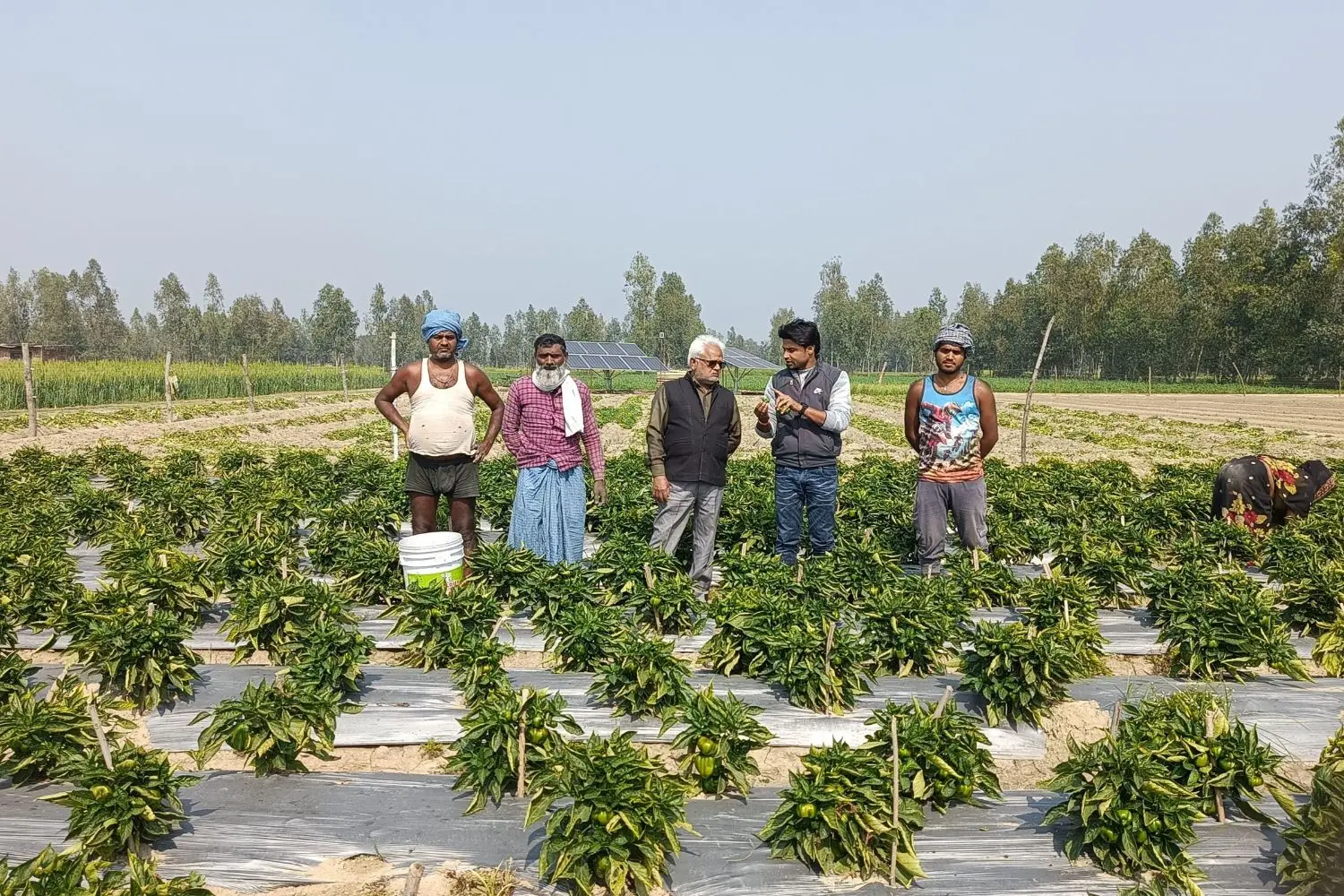 Oorja: Farmers in Barabanki