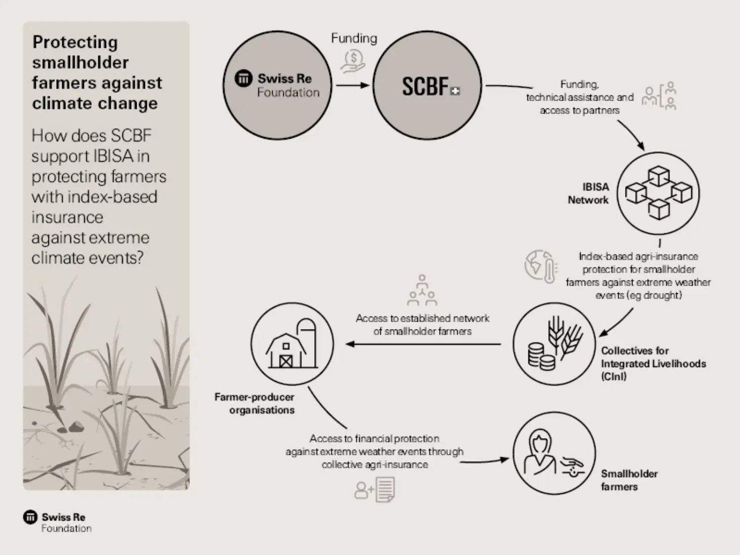 SCBF infograph Jan 24 impact story