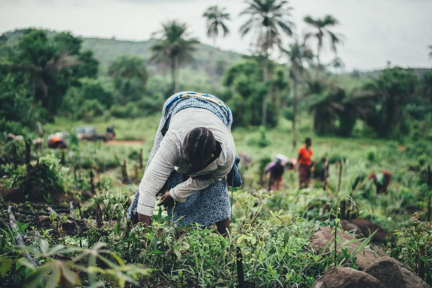 Impact linked finance fund