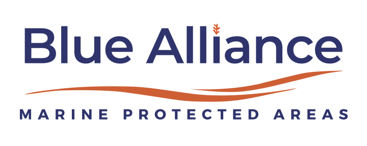 Logo: Blue Alliance
